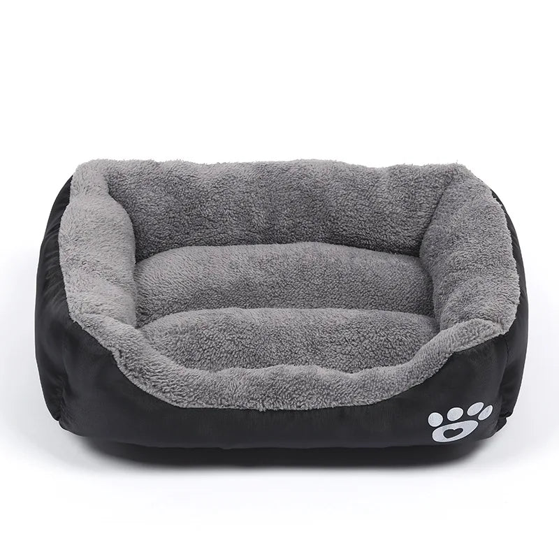 Essential Pet Accessories for Your Furry Friends