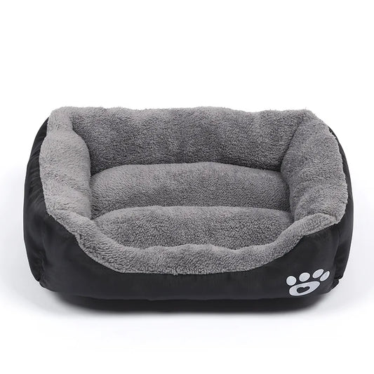 Essential Pet Accessories for Your Furry Friends