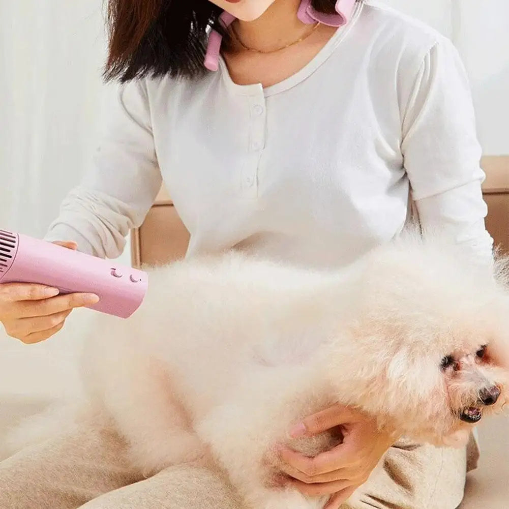 High-power Negative Ion Pet Hair Dryer Silent Beauty Bristles Quick Blowing Hanging Neck Portable, Universal For Cats And Dogs